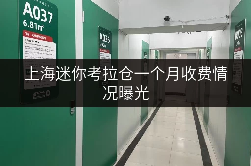 上海迷你考拉仓一个月收费情况曝光,究竟多少钱呢 上海迷你考拉仓一个月收费情况曝光,究竟多少钱呢