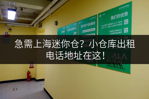 急需上海迷你仓？小仓库出租电话地址在这！