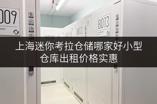 上海迷你考拉仓储哪家好小型仓库出租价格实惠