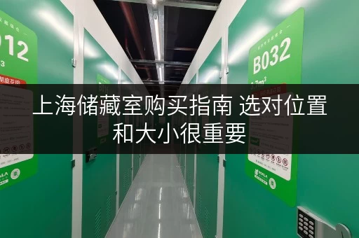 上海储藏室购买指南 选对位置和大小很重要