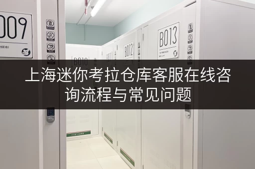 上海迷你考拉仓库客服在线咨询流程与常见问题