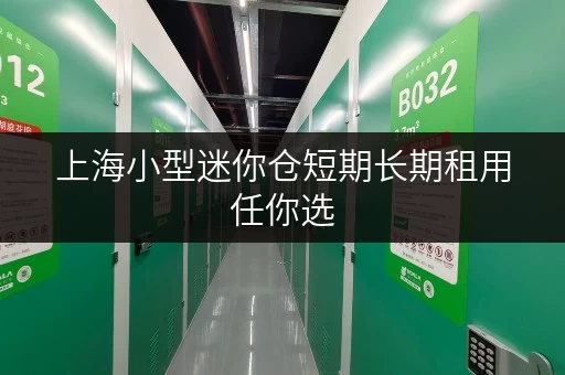 上海小型迷你仓短期长期租用任你选