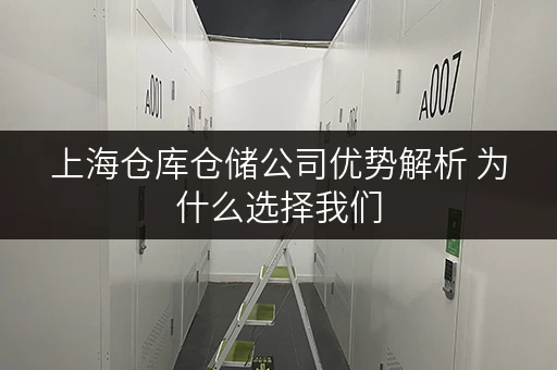 上海仓库仓储公司优势解析 为什么选择我们