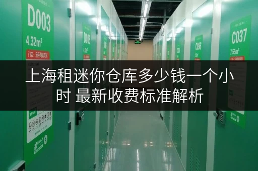 上海租迷你仓库多少钱一个小时 最新收费标准解析