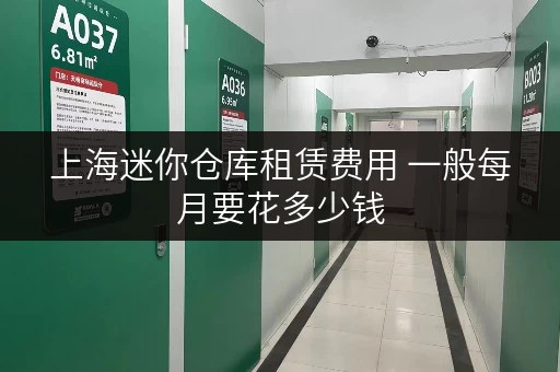 上海迷你仓库租赁费用 一般每月要花多少钱