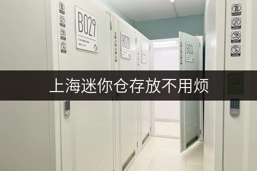 上海迷你仓存放不用烦,迷你考拉仓随存随取超方便 上海迷你仓存放不用烦,迷你考拉仓随存随取超方便