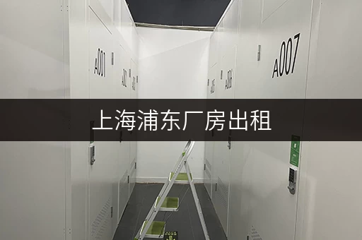 上海浦东厂房出租,紧邻商圈,商机无限等你来 上海浦东厂房出租,紧邻商圈,商机无限等你来