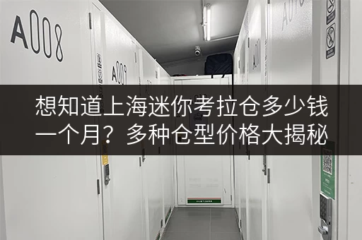 想知道上海迷你考拉仓多少钱一个月？多种仓型价格大揭秘