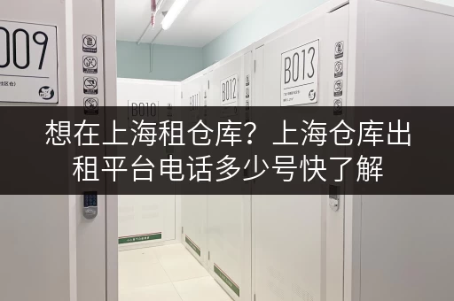 想在上海租仓库？上海仓库出租平台电话多少号快了解