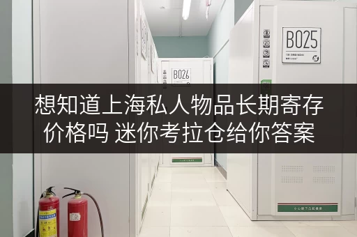 想知道上海私人物品长期寄存价格吗 迷你考拉仓给你答案