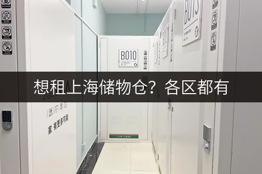 想租上海储物仓？各区都有，24小时监控随存随取超方便