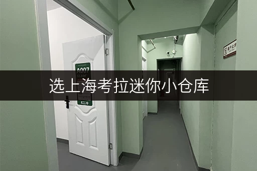 选上海考拉迷你小仓库，仓储配置超严格，物品存放超安心