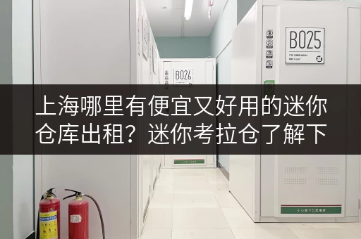 上海哪里有便宜又好用的迷你仓库出租？迷你考拉仓了解下