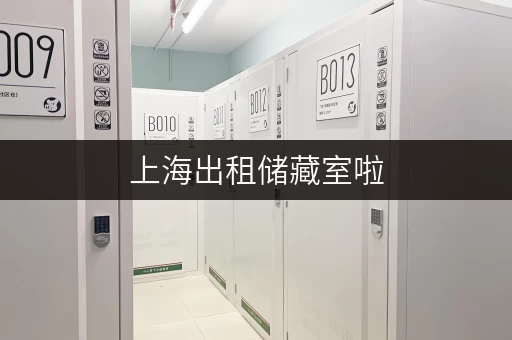 上海出租储藏室啦，迷你考拉仓多区可选直租无中介费