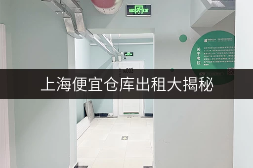 上海便宜仓库出租大揭秘，迷你考拉仓性价比超高啦