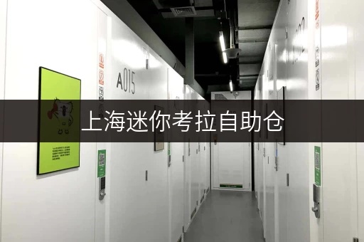 上海迷你考拉自助仓，多区连锁，满足个人家庭企业存储需求