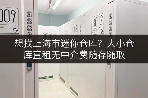 想找上海市迷你仓库？大小仓库直租无中介费随存随取