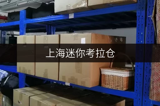 上海迷你考拉仓，专业搬家仓储，让您搬家毫无负担