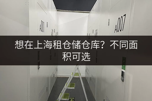 想在上海租仓储仓库？不同面积可选，租期灵活服务超贴心