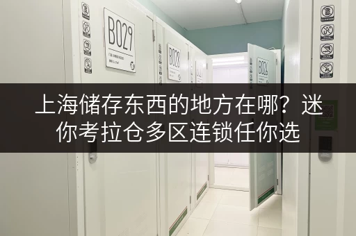 上海储存东西的地方在哪?迷你考拉仓多区连锁任你选 上海储存东西的地方在哪?迷你考拉仓多区连锁任你选