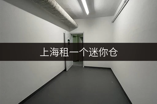 上海租一个迷你仓,仓储配置严格,安全私密又灵活 上海租一个迷你仓,仓储配置严格,安全私密又灵活