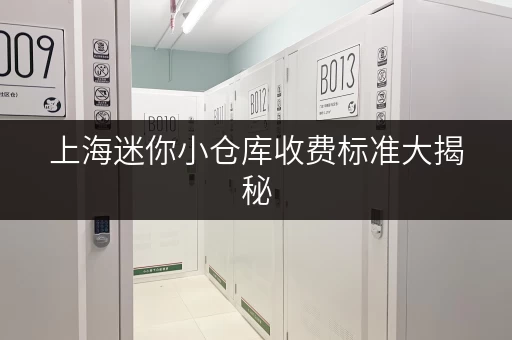 上海迷你小仓库收费标准大揭秘，考拉仓灵活又实惠