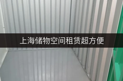 上海储物空间租赁超方便，迷你考拉仓一站式服务解您忧