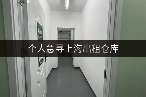 个人急寻上海出租仓库，迷你考拉仓多样选择解难题