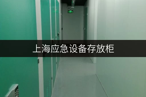 上海应急设备存放柜,满足多样应急物资存储需求 上海应急设备存放柜,满足多样应急物资存储需求