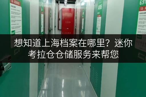 想知道上海档案在哪里？迷你考拉仓仓储服务来帮您