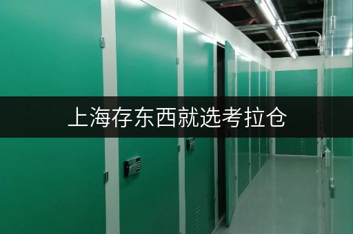 上海存东西就选考拉仓，专业仓储配置超靠谱