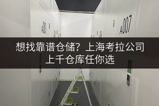 想找靠谱仓储？上海考拉公司上千仓库任你选