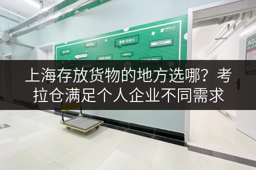 上海存放货物的地方选哪?考拉仓满足个人企业不同需求 上海存放货物的地方选哪?考拉仓满足个人企业不同需求