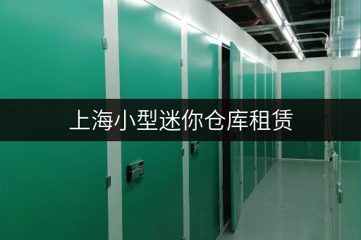 上海小型迷你仓库租赁，安全有保障让物品存放更安心