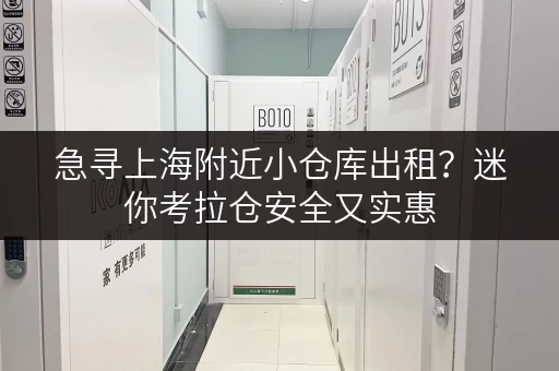 急寻上海附近小仓库出租？迷你考拉仓安全又实惠