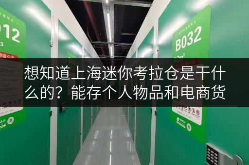 想知道上海迷你考拉仓是干什么的？能存个人物品和电商货物