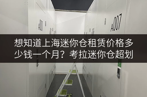 想知道上海迷你仓租赁价格多少钱一个月？考拉迷你仓超划算
