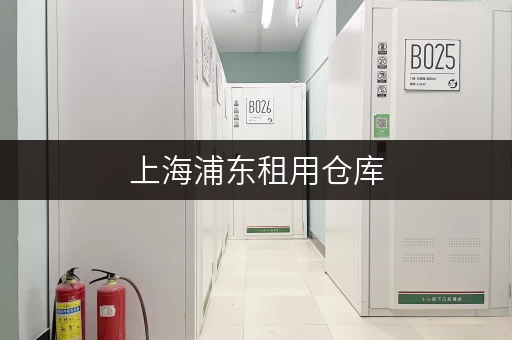 上海浦东租用仓库，迷你考拉仓满足多样存储需求