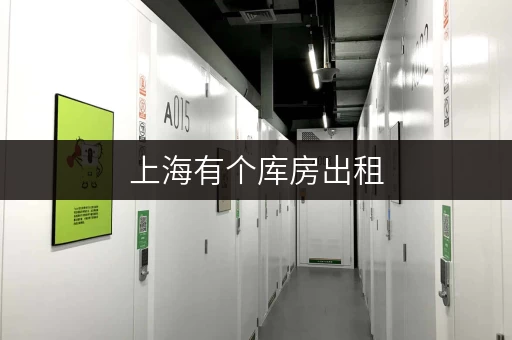 上海有个库房出租,交通便利,电商存货、家庭杂物都能存 上海有个库房出租,交通便利,电商存货、家庭杂物都能存