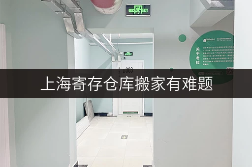 上海寄存仓库搬家有难题，迷你考拉仓专人管理超安心