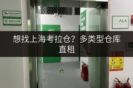 想找上海考拉仓？多类型仓库直租，无中介费超划算