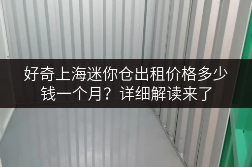 好奇上海迷你仓出租价格多少钱一个月？详细解读来了