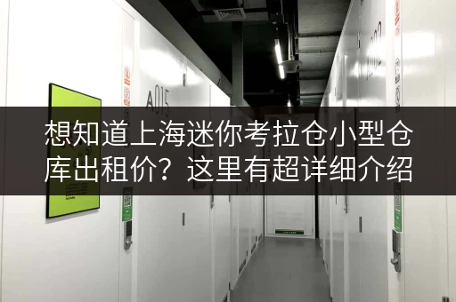 想知道上海迷你考拉仓小型仓库出租价?这里有超详细介绍! 想知道上海迷你考拉仓小型仓库出租价?这里有超详细介绍!