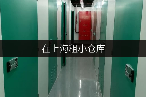 在上海租小仓库，迷你考拉仓多区可选，无中介费超划算