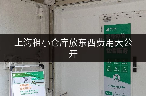 上海租小仓库放东西费用大公开，迷你考拉仓别错过