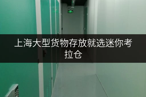 上海大型货物存放就选迷你考拉仓，连锁经营有保障