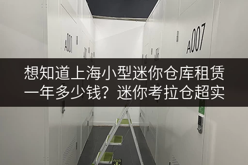 想知道上海小型迷你仓库租赁一年多少钱?迷你考拉仓超实惠! 想知道上海小型迷你仓库租赁一年多少钱?迷你考拉仓超实惠!