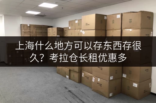 上海什么地方可以存东西存很久?考拉仓长租优惠多 上海什么地方可以存东西存很久?考拉仓长租优惠多