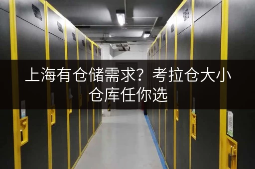 上海有仓储需求？考拉仓大小仓库任你选