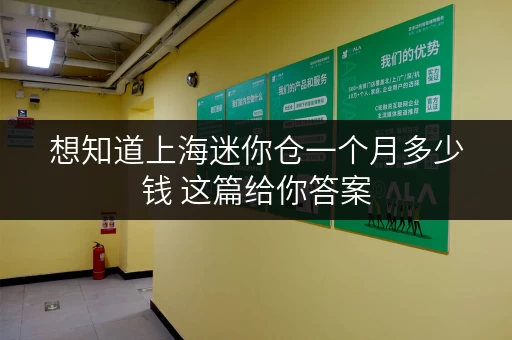 想知道上海迷你仓一个月多少钱 这篇给你答案 想知道上海迷你仓一个月多少钱 这篇给你答案